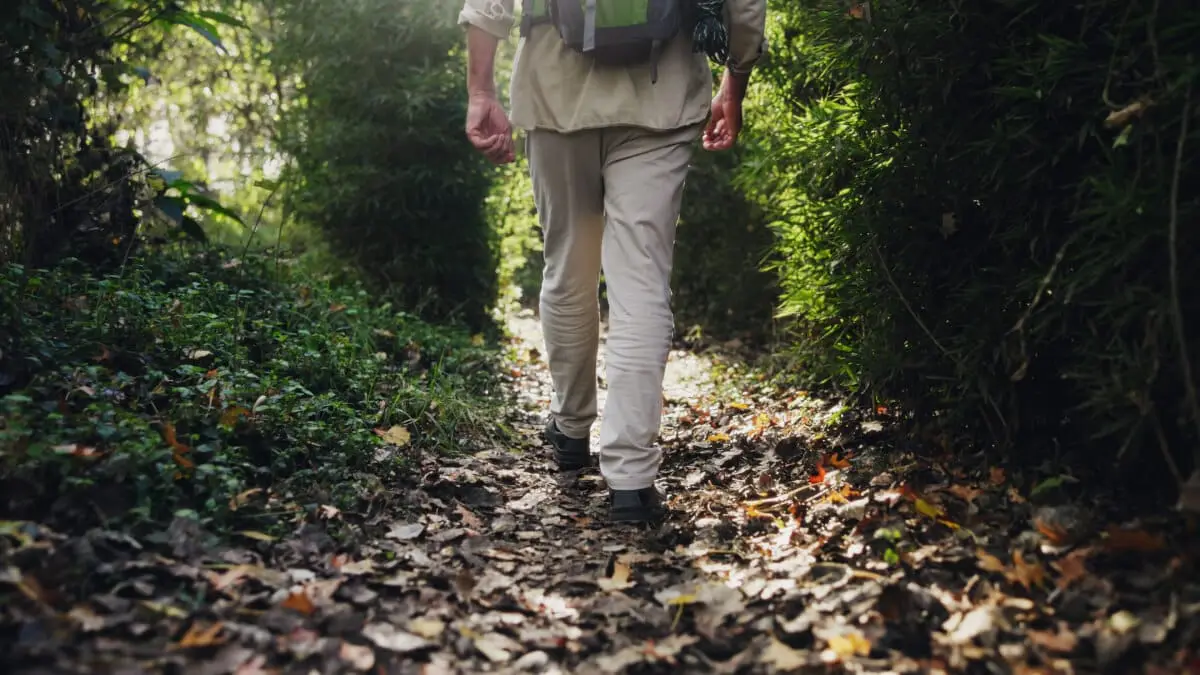 Naturupplevelser i närheten av Gdansk